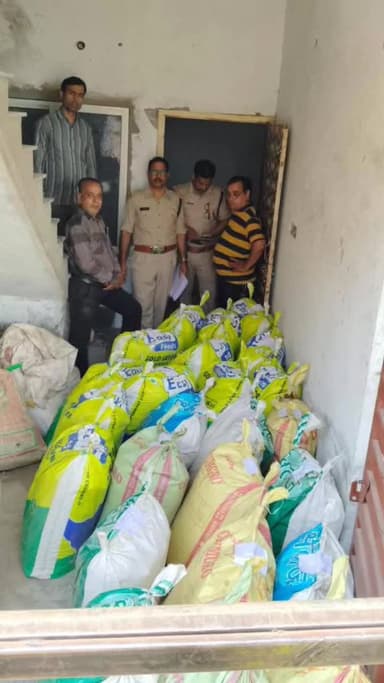 विधुर नगर में आबकारी का बड़ा एक्शन: 1182 किलो अवैध भांग जब्त, आरोपी गिरफ्तार#इंदौर#आबकारी पुलिस #मध्यप्रदेश@इंदौर