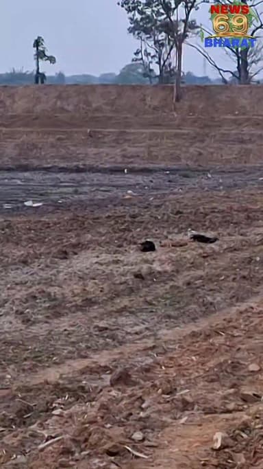 करप्शन ऐसा, इसके बारे में सुनकर करप्शन को भी शर्म आ जाए!
#Baghmara #manish #police #public #hilights #jharkhand #reals ...