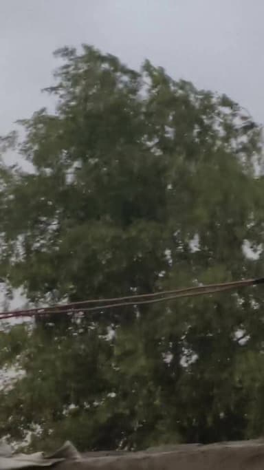 बाढडा क्षेत्र के गांवों में जबरदस्त आंधी,
#कादमा #चरखीDadri #बाढ़डाNews