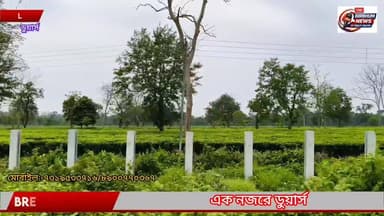 এক নজরে ডুয়ার্স
#bolpursantiniketan
#saithya
#suri
#Illambazar
#bolpur