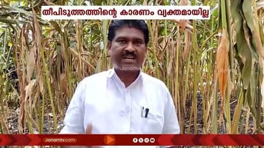 ഇരട്ടയാർ ശാന്തിഗ്രാമിന് സമീപം കൃഷിയിടത്തിൽ ഉണ്ടായ തീപിടിത്തത്തിൽ ലക്ഷങ്ങളുടെ നഷ്ടം