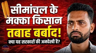 🚨 सद्दाम शेख ने बायसी के नेताओं की खोल दी पोल! 🌽 बर्बाद मक्का किसानों को नहीं मिला मुआवजा!
#MakkaKisan #CropDamage #Kisa...