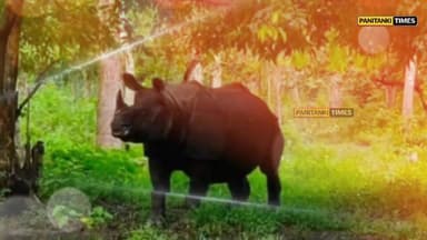 সাফারি পার্কের অন্যতম প্রধান আকর্ষণ 'ভীম' আর নেই, শোকস্তব্ধ বনকর্মী ও পর্যটকরা।
सफारी पार्क के एक युग का अंत; अब नहीं स...