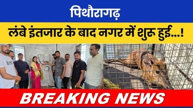 Pithoragarh: Lambe intezar ke baad nagar mein shuru hui...! #breakingnews #uknews #hindinews |