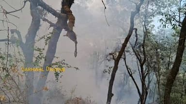 पौड़ी खिर्सू मार्ग से सटे रिजर्व फॉरेस्ट में लगी आग।