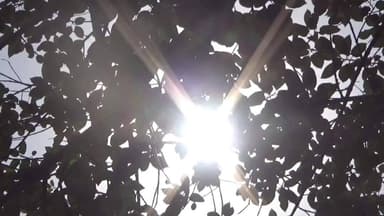 କଣ୍ଟାବାଞ୍ଜି: କଣ୍ଟାବାଞ୍ଜିରେ ୪୪ ଡିଗ୍ରୀରେ ତୀବ୍ର ଗ୍ରୀଷ୍ମ ଲହରୀ, ଲୋକେ ଅସ୍ତବ୍ୟସ୍ତ