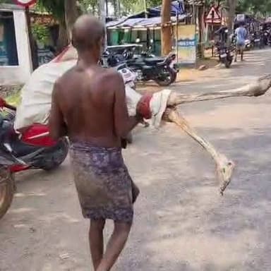 ନିଜ ଟଙ୍କା ପାଇଁ ବ୍ୟାଙ୍କ କୁ ଭଉଣୀ ର ଗଳିତ ମୃତ୍ୟୁ ଦେହକୁ ବ୍ୟାଙ୍କ ନେଲା ଭାଇ I କିଛି ଘଣ୍ଟା ପରେ ତୁରନ୍ତ ଟଙ୍କା ଦେଲେ ବ୍ୟାଙ୍କ କତୃପକ୍ଷ I