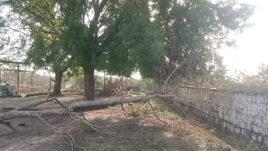 राजकीय उच्च प्राथमिक विद्यालय डाबडिया