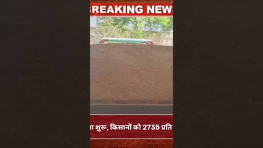 डूंगरपुर में गेहूं केंद्र हुआ शुरू, किसानों को 2735 प्रति क्विंटल msp मिलेगा #news #hindinews