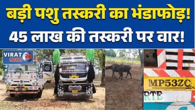 शहडोल में 30 मवेशियों को तस्करों से मुक्त कराया, बड़ा खुलासा #ShahdolNews
#BreakingNews
#AnimalRescue
#CowSmuggling
#Pol...