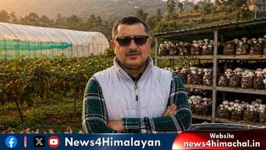 हिमाचल का बंदा: एक साल में करोड़पति
पूरा मॉडल समझें, करोड़ों का है टर्नओवर
#himachalpradesh #successstory #FarmerSuccess...
