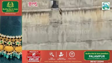 अखाड़ा पार्किंग के पास व्यास नदी में गिरी बुजुर्ग महिला, जम्मू के दो युवाओं ने बचाई जान
#कुल्लू #हिमाचलप्रदेश