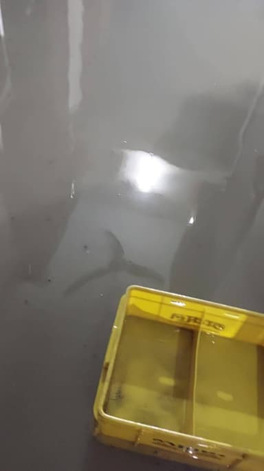 pahli barish mein Nagar Palika ke Safai vyavastha ki खोल-खोलती dusri tasvir