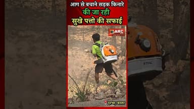 आग से बचाने पत्तो की सफाई..#बस्तर #viral #news #viralreels #viralvideos