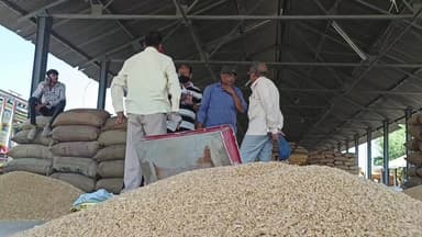 खकनार: छोटे भाई से मिला खेती का आइडिया, किसान कर रहा है लाखों की कमाई