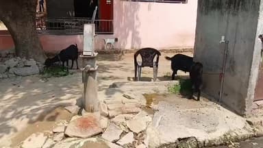 Firozpur Post jasrathpur tahsil bilsi distic badaun Dinesh Kumar Valmiki