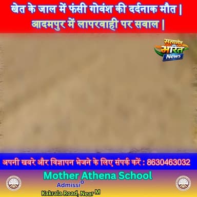खेत के जाल में फंसी गोवंश की दर्दनाक मौत आदमपुर में लापरवाही पर सवाल | #BudaunNews #AnimalCruelty #Gaay #VillageNews #B...