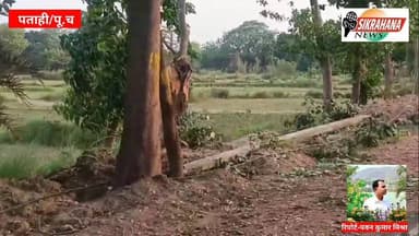 पूर्वी चम्पारण। चेज आँधी से पचपकड़ी भंडार के भकुरहियाँ मुख्य मार्ग के गायित्री मंदिर के समीप बिजली के खंभे गिरने के कारण ...