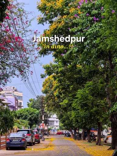Jamshedpur is yellow these days.😍❤️💯
Have you noticed the beautiful roads of the steelcity recently?
Follow @jamshedpu...