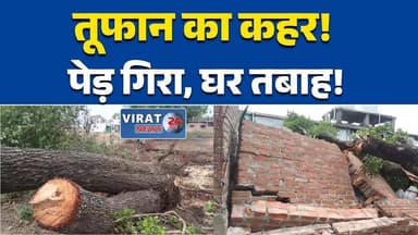 मैहर में तूफान का कहर: पेड़ गिरने से घर तबाह, लाखों का नुकसान#Maihar #MaiharNews #MPNews #BreakingNews #StormDamage #Wea...