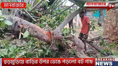 প্রবল ঝড়ে বাড়ির উপর ভেঙ্গে পরলো ২০০ বছরের পুরনো বটগাছ,সাহায্যের আর্জি ক্ষতিগ্রস্ত পরিবারের