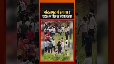 प्रेम का सबूत या मानसिक संकट, पोल पर लड़की का 2.5 घंटे का ड्रामा #UPNews #SocialAwareness