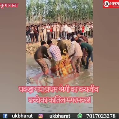 पकड़ा गया बच्चे का कातिल मगरमच्छ, सुबह मिली थी 13 वर्षीय बालक की बॉडी.... #ukbharat #roorkee #haridwar #police #forest
