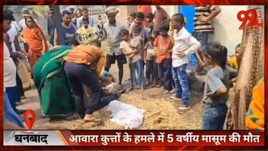 #धनबाद : #आवारा #कुत्तों के ह/मले में 5 #वर्षीय #मासूम की मौ/ त
