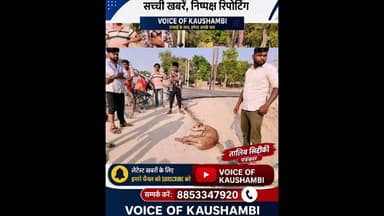 #जंगल से #हिरन पहुंचा ₹#गाँव तो हो गया #हंगामा फिर हुआ कुछ ऐसा