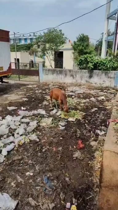ହେଦେରେ ପିଲେ.... କିଏ ଦାୟୀ?