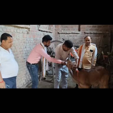 पशु को आवारा कुत्तों ने काटा, मौके पर पहुंची एमवीयू की टीम ने शुरू की ईलाज।
#पशु #animalhospital #kaimur