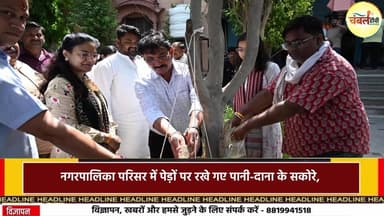 श्योपुर में पक्षियों के लिए ‘दाना-पानी अभियान’ तेज, कलेक्टर ने लगवाए सकोरे पात्र | ChambalTV
#श्योपुर #sheopur #चंबलट...