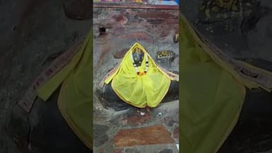 #श्री गोवर्धन गिरिराज महाराज जी ज़तीपुरा मुखरविन्द के आज के दर्शन@