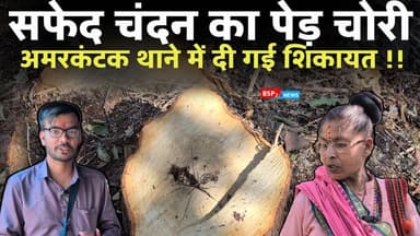 अमरकंटक स्थित नारायण आश्रम से 10 साल ज्यादा पुराना सफेद चंदन का पेड़ चोरी । Bsp24news Amarkantak news Anuppur news safed...
