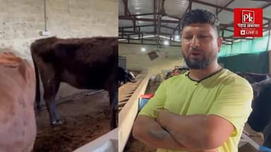 #🐄 गांव में डेयरी से बदली तकदीर,
#पौड़ी के केवर्स गांव के राहुल गुसाईं ने #मुख्यमंत्री स्वरोजगार योजना से डेयरी शुरू कर ...