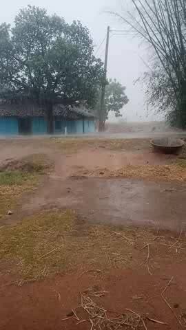 ताजा खबर,ग्राम जरहाडीह जिला बलरामपुर छत्तीसगढ़ 2026#