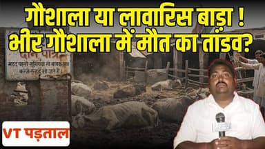 सावधान! भीर गौशाला की ये तस्वीरें आपको विचलित कर सकती हैं, क्या कर रहा प्रशासन?
#BhiraGaushala #VindhyaTimes #GroundRep...