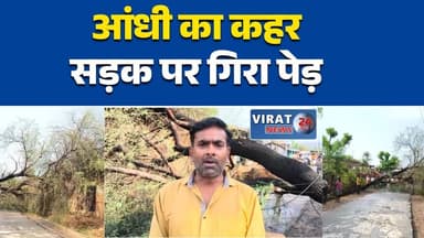 रीवा:आंधी से पेड़ गिरा, सड़क पूरी तरह बंद,बड़ा हादसा टला#RewaNews #Ramgarh #MadhyaPradesh #StormAlert #RainNews #Breakin...