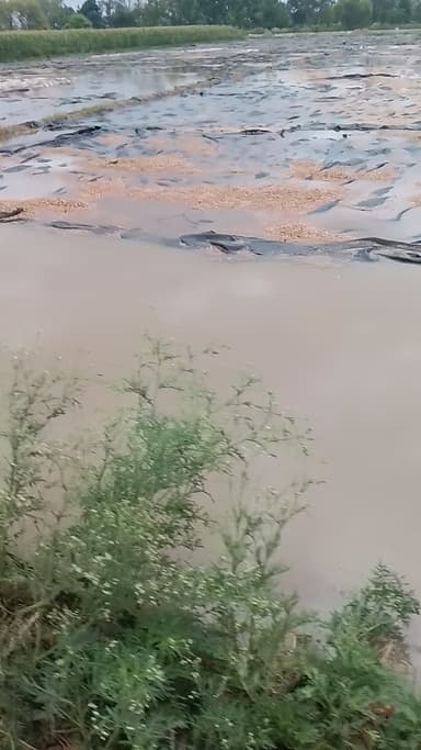 gram Karauli tahsil savar jila Kasganj gaon khuratal ke mein Aaj 4:00 baje se bahut hi jyada barish ho rahi hai