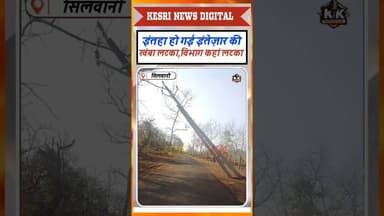 इंतहा हो गई इंतज़ार की... खंभा लटका, विभाग कहां अटका? #panchayat #bijli #bijlikhamba #raisennews #mp