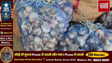 लहसुन के रेट में तेजी, जानीए क्या रहा भाव
हिमाचल समय - Himachal Samay Media #WeatherUpdateToday #hrtc #HimachalNews #so...