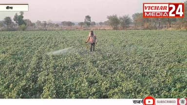 तपती धूप में भी किसान खेतों में, न खाना की चिंता और न ही पानी की चिंता...जानिए किसान की मेहनत #khurai #khurainews #bns #...