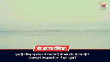 #वन्देभारत #प्रवीणकुमार : गंगा फिर से सांस ले रही है… और इसके साथ लौट रही है जिंदगी 🐬*
जब नदी साफ होती है, तो प्रकृति ख...