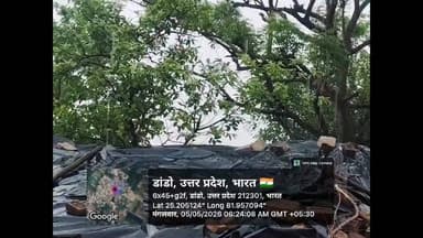 #करछना क्षेत्र में सुबह से झमाझम बारिश से बदला मौसम, लोगों को गर्मी से राहत।
करछना क्षेत्र में आज मंगलवार सुबह से हो रह...