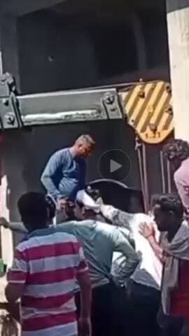 चौमूं: चौमूं कस्बे के एक निर्माणाधीन दुकान के गहरे बेसमेंट में असंतुलित होकर सांड गिरने से आसपास के इलाके में मचा हड़कंप