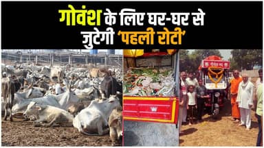 गौ सेवा को नई रफ्तार: पांचारुडी में गौ सेवा रथ का शुभारंभ, घर-घर से जुटेगी ‘पहली रोटी’7
#gauseva #gaushala #sanatandhar...