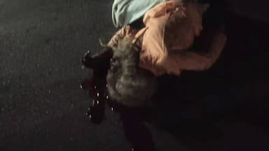 छत्तरगढ़: बीकानेर छत्तरगढ़ सड़क पर अज्ञात कार की टक्कर से बाबा की हुई मौत