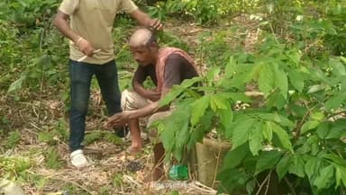 মাথা ন্যাড়া করে শাস্তি দুই যুবককে, ঘটনা কৈলাশহর জলাই গ্রামে!