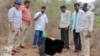 ఘన్పూర్ స్టేషన్: స్టేషన్గన్పూర్ మున్సిపాలిటీ చాగల్లు శివారు జాతీయ రహదారిపై గుర్తు తెలియని వాహనం ఢీకొని ఎలుగుబంటి మృతి