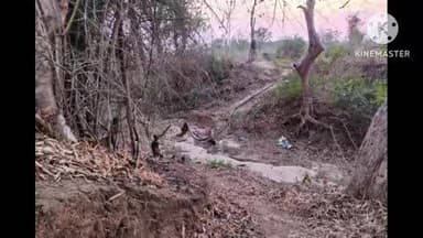 राजिम: गरियाबंद क्षेत्र में धड़ल्ले से हो रहा बोर खनन, प्रशासन बेखबर